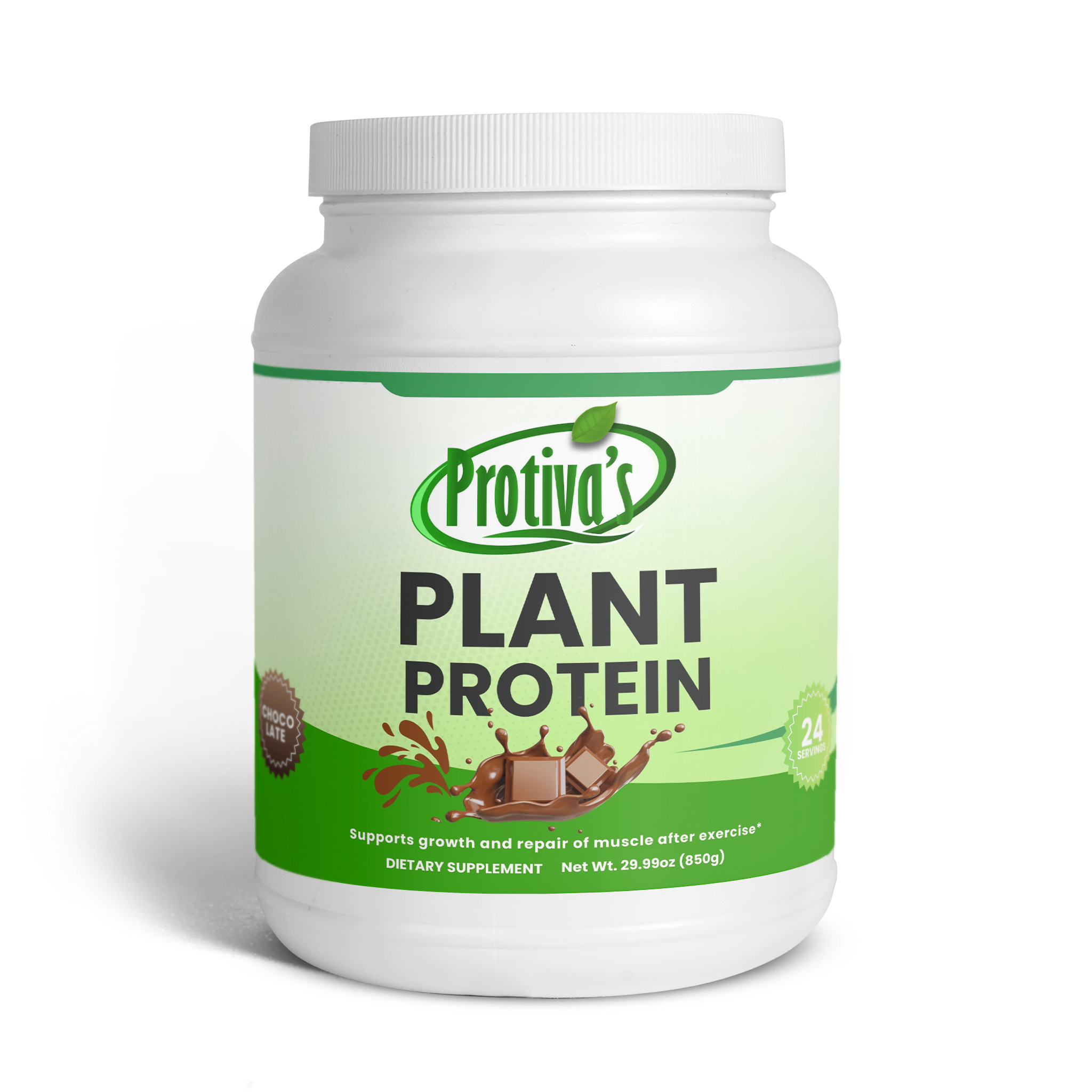 Plant Protein